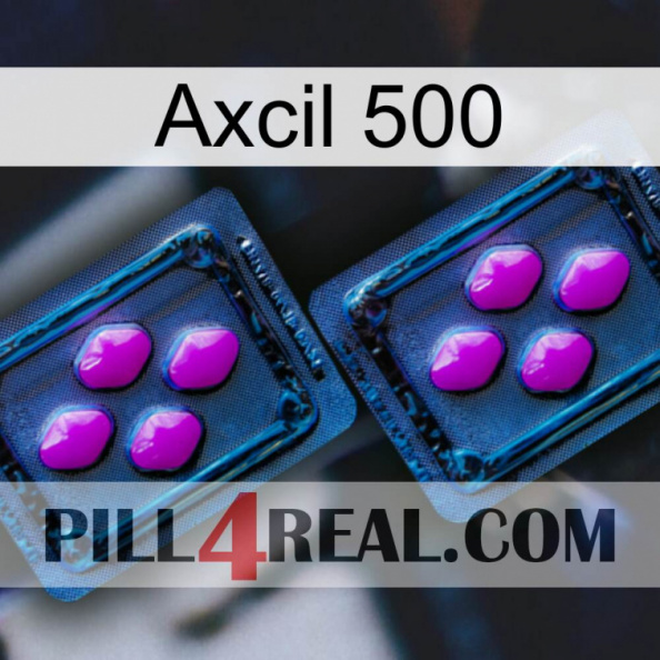 Axcil 500 03.jpg